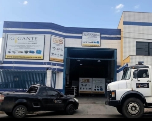 Gigante Hidráulica - Empresa